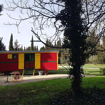 Remy A Dit Saint-Rémy-de-Provence Εξωτερικό φωτογραφία